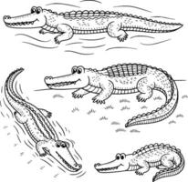 Bold black and white hand-drawn illustrations of 4 playful crocodiles doodling swimming in rivers, basking in the sun, sliding into water, and resting on riverbanks, isolated on white. vector