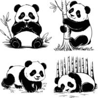 Bold black and white hand-drawn illustrations of 4 pandas doodling eating bamboo, climbing trees, rolling in grass, and napping in the forest, isolated on white. vector