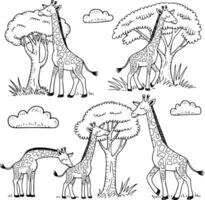 Bold black and white hand-drawn illustrations of 4 giraffes and trees doodling reaching for trees, munching leaves, walking beside them, and stretching necks toward clouds, isolated on white. vector
