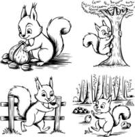 Bold black and white hand-drawn illustrations of 4 funny squirrels doodling storing nuts, climbing trees, running across fences, and playing in the forest, isolated on white. vector