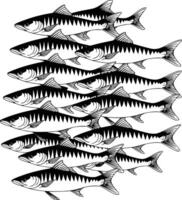 Black and white bold illustrations of a school of sardines, isolated on white background. vector