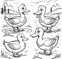 Bold black and white hand-drawn illustrations of 4 playful ducks doodling waddling around ponds, quacking loudly, and flying over water, isolated on white. vector