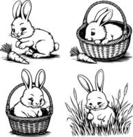 Bold black and white hand-drawn illustrations of 4 cute rabbits doodling hopping around baskets, nibbling on carrots, and hiding in tall grass, isolated on white. vector