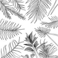 Black and white bold illustrations of a rainforest caPropy, isolated on white background. vector