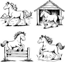 Bold black and white hand-drawn illustrations of 4 cute horses doodling galloping in fields, trotting in stables, jumping over fences, and playing in the meadow, isolated on white. vector