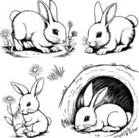 Bold black and white hand-drawn illustrations of 4 playful bunnies doodling hopping through gardens, nibbling on flowers, and resting in burrows, isolated on white. vector