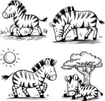 Bold black and white hand-drawn illustrations of 4 zebras doodling galloping on the savanna, grazing together, playing under the sun, and resting by trees, isolated on white. vector