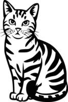 A black and white striped cat sitting on a white background vector