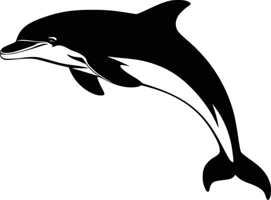 Dolphin jumping clip art