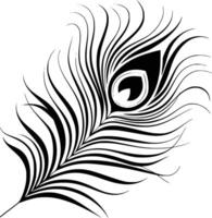 A black and white peacock feather on a white background vector