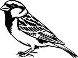 A black and white drawing of a bird vector