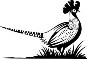A pheasant standing in the grass with a black and white outline vector