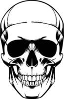 A skull with a bandana on its head vector