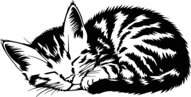 A black and white drawing of a sleeping kitten vector