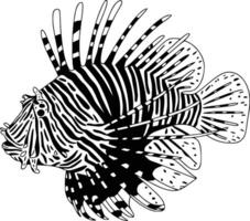 A lionfish is shown in black and white and white isolated background vector