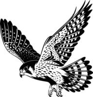A black and white drawing of a falcon vector