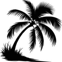 Palm tree silhouette on a white background and white isolated background vector