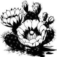 Cactus flowers coloring pages vector