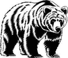 A black and white bear on a white background vector