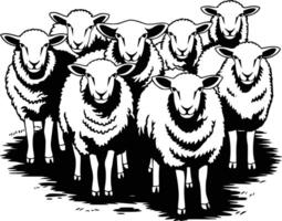 Sheep black and white vector