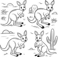 Australian kangaroo coloring pages vector