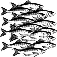 A group of fish on a white background and white isolated background vector