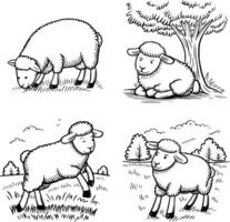 Four sheep in the field coloring pages vector
