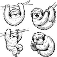 Four sloths hanging on a tree branch vector