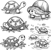 Turtle set illustration and white isolated background vector