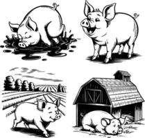 Four pigs in different positions and white isolated background vector