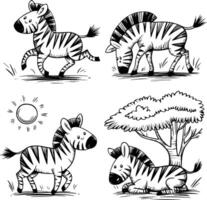 Four different zebras in different poses vector