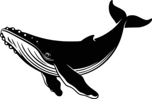 Humpback whale clip art and white isolated background vector