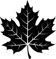 Maple leaf clip art white isolated background vector