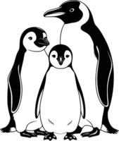 Penguins coloring pages white isolated background vector