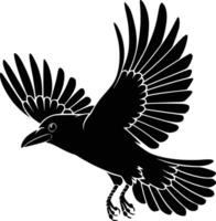 A black and white silhouette of a raven white isolated background vector