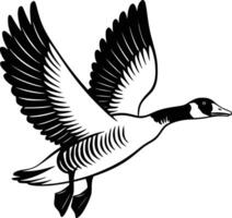A black and white drawing of a goose flying white isolated background vector
