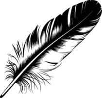 Feather clipart white isolated background white isolated background vector