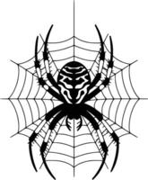 Spider on web vector
