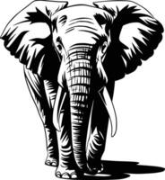 An elephant is standing in the middle of white background vector