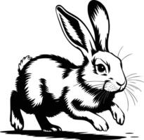 Black and white rabbit running vector