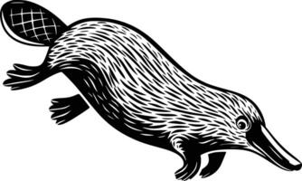 A black and white drawing of a kiwi white isolated background vector