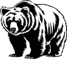 A black and white bear on a white background white isolated background vector