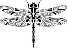 Dragonfly coloring pages white isolated background vector
