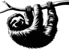 Sloth hanging on a tree branch vector
