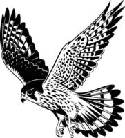 Black and white drawing of a falcon vector
