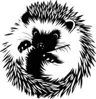 A hedgehog in a circle with a black and white vector