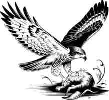 An eagle with a fish in its talons vector