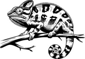 Chameleon on branch vector