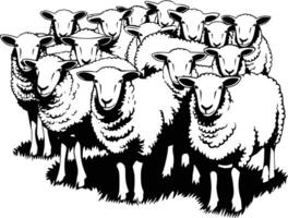 A herd of sheep in black and white vector