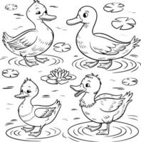 Four ducks in the pond coloring page vector